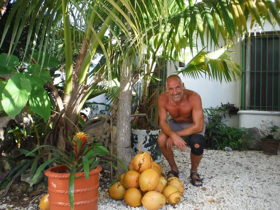 If the guests can't get up the palm tree I'll do the job ;)
