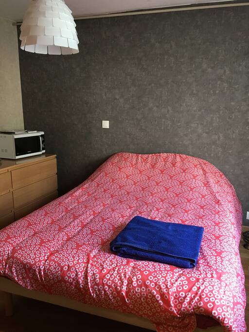 Chambre privative avec deux meubles de rangement, un porte manteau et un microondes fonctionnant