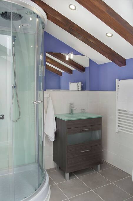 BAÑO CON DUCHA DE HIDROMASAJE