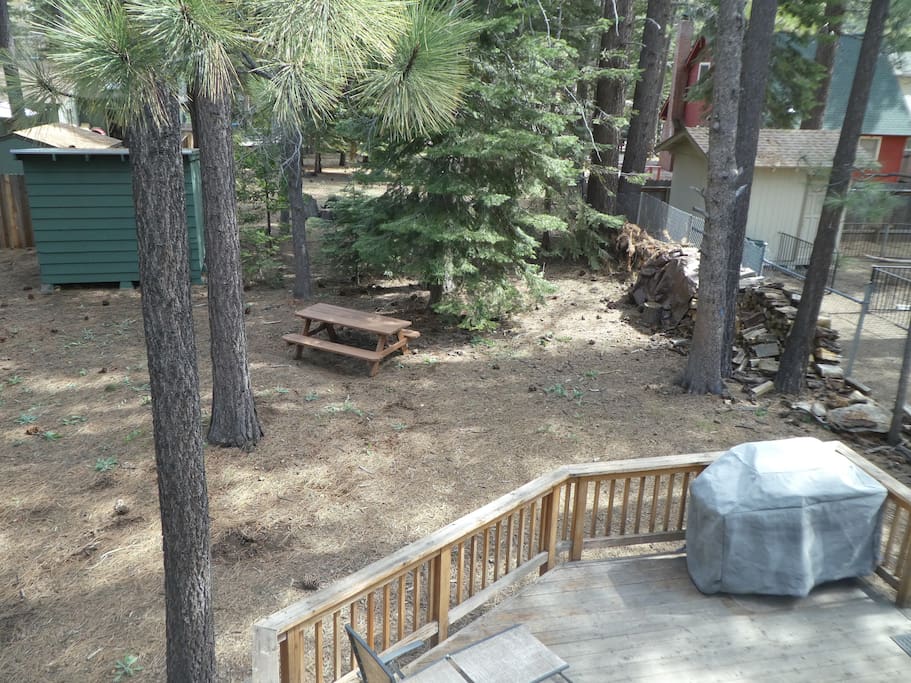 Back yard from upper window