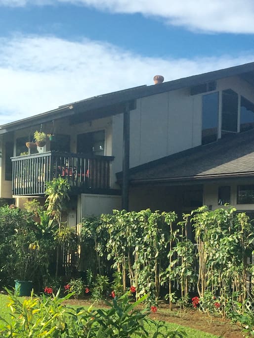 Herb garden and many hanging plants on upstairs lanai. Master lanai directly under upstairs lanai.