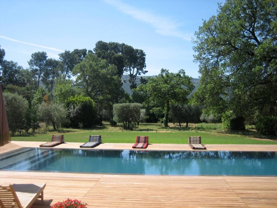 Vue sur le jardin (printemps)