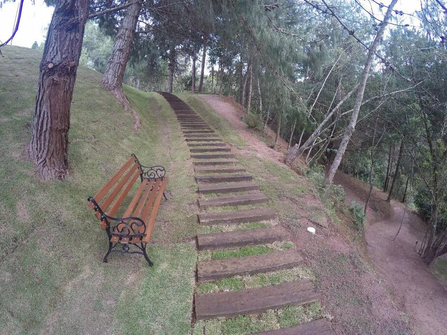 Trilha interna