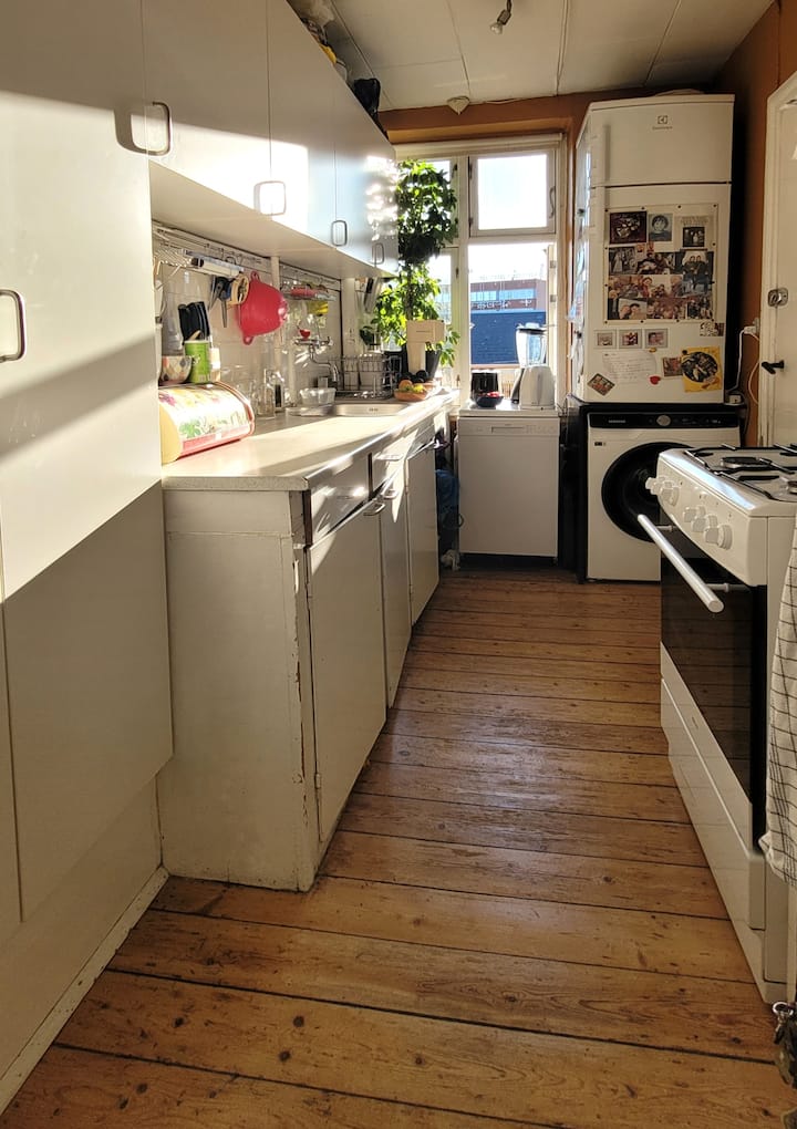 Apartment in Copenhagen, Norrebro. 4th floor
