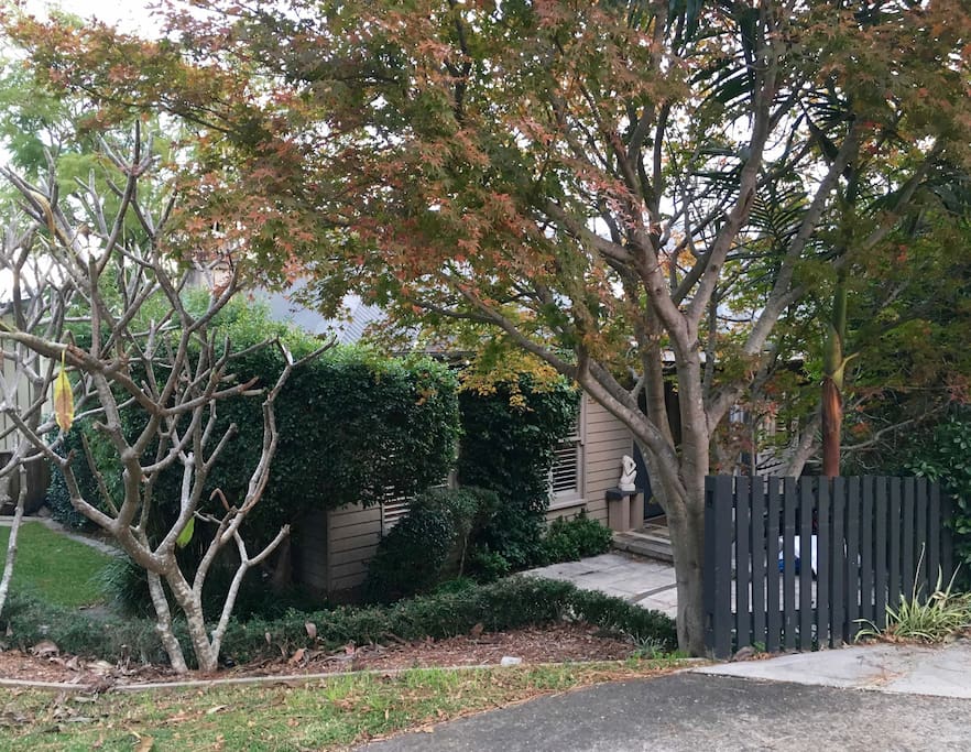 House frontage tucked away from street, native garden