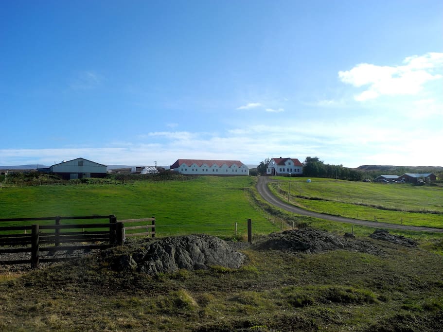 The overview over the farm