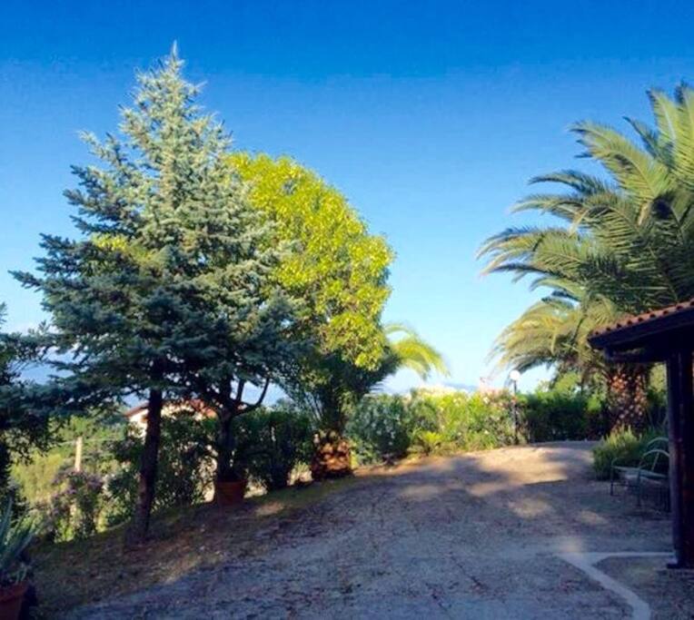 Giardino