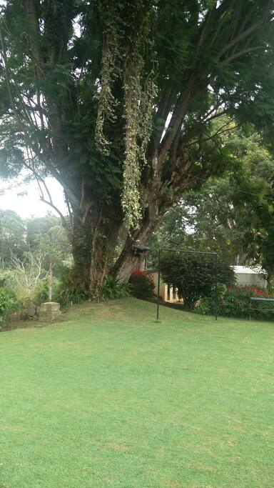 Front lawn aera
