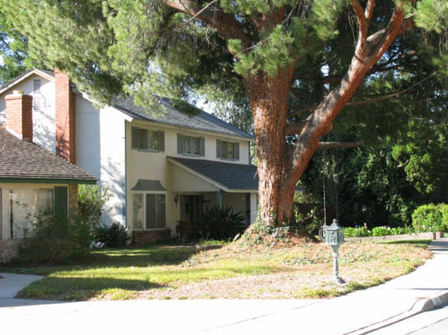 Sunnie's International Hospitality House