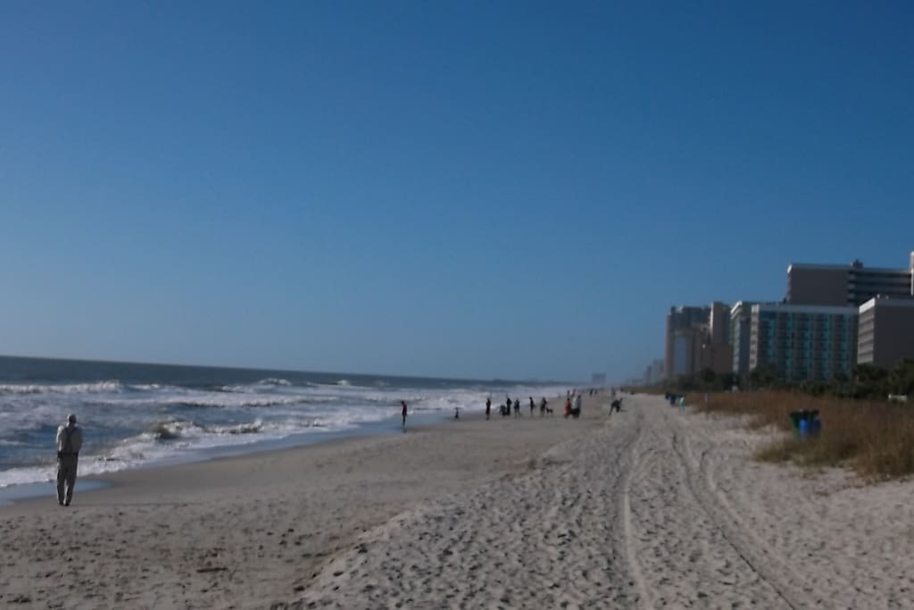 Beach