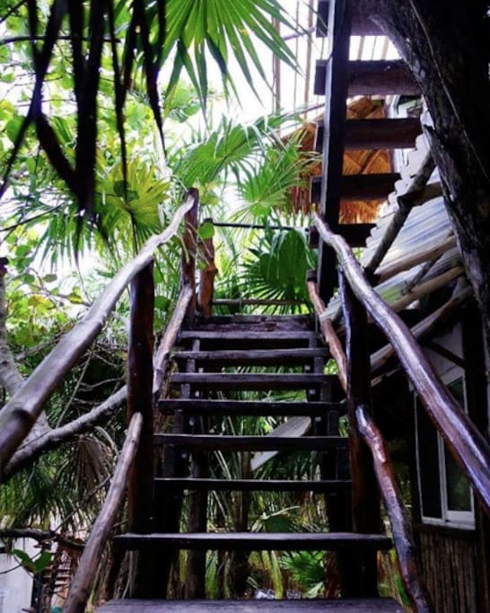 Acceso/Access