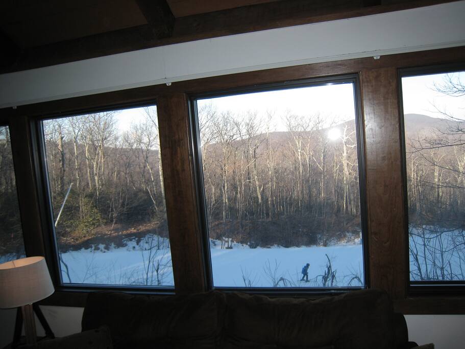 Tyro slope skiers from the living room!