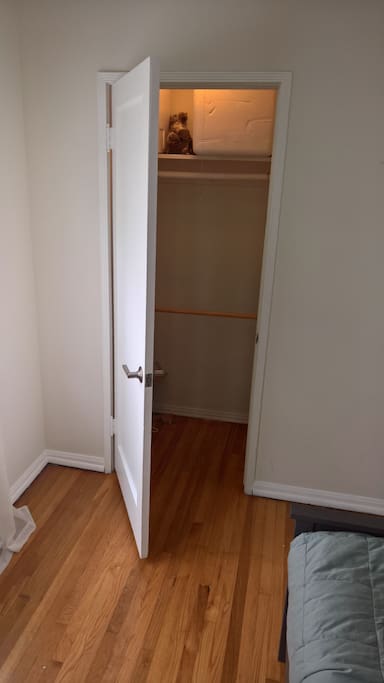 Closet with light