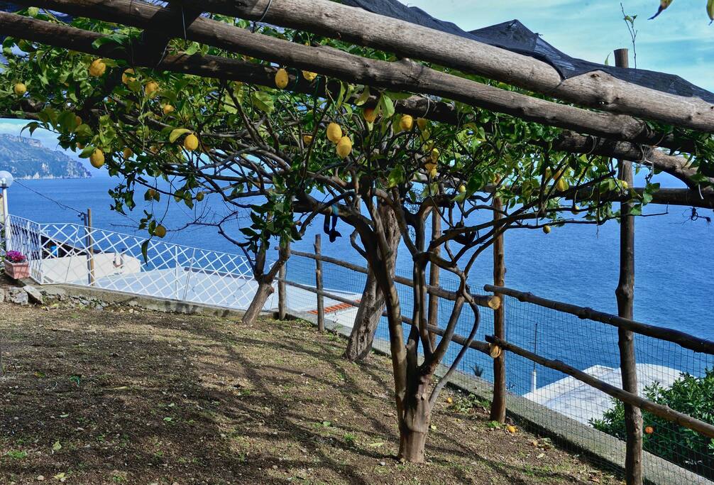 Giardino privato con limoneti e agrumeti
