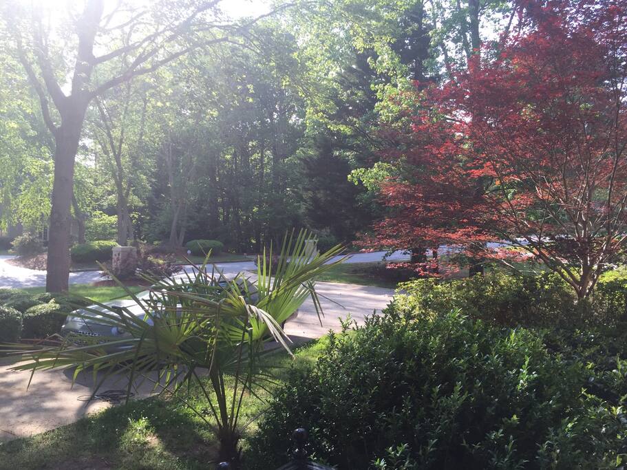 Driveway