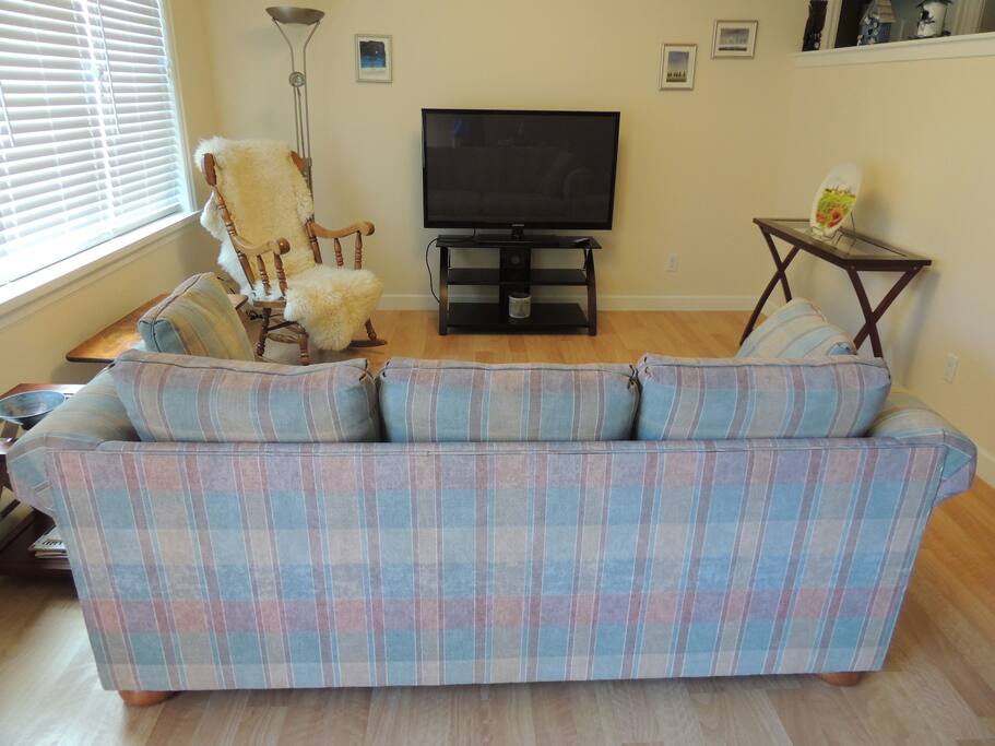 Living area. 51" TV