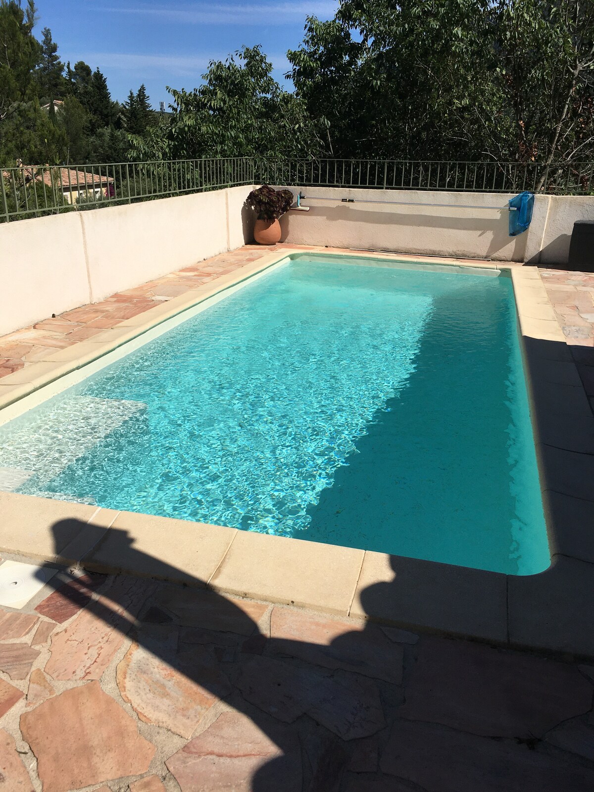 A clear pool is situated on a sunlit terrace surrounded by greenery. The pool reflects the blue sky and is framed by light-colored stone tiles. A potted plant adds a touch of nature to the space, enhancing the serene atmosphere.