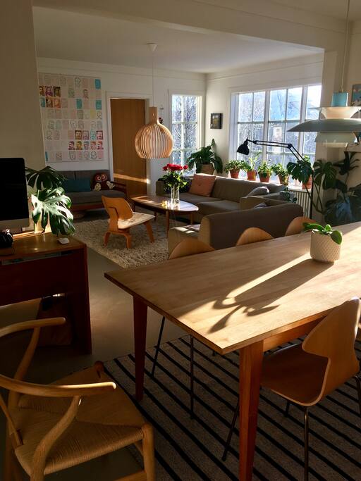 Dining room/living room. Large windows facing south. Balcony. (seating for 8+ people around dining room table).