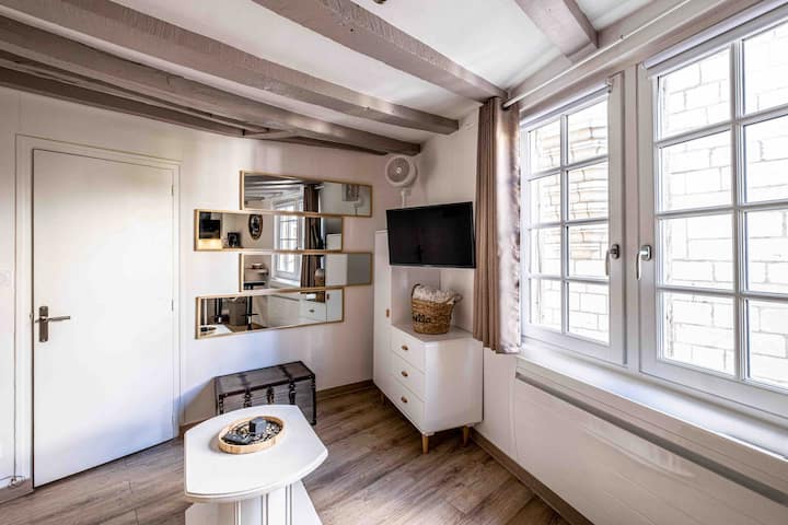 Studio De Charme Place Saint Pierre - Saumur