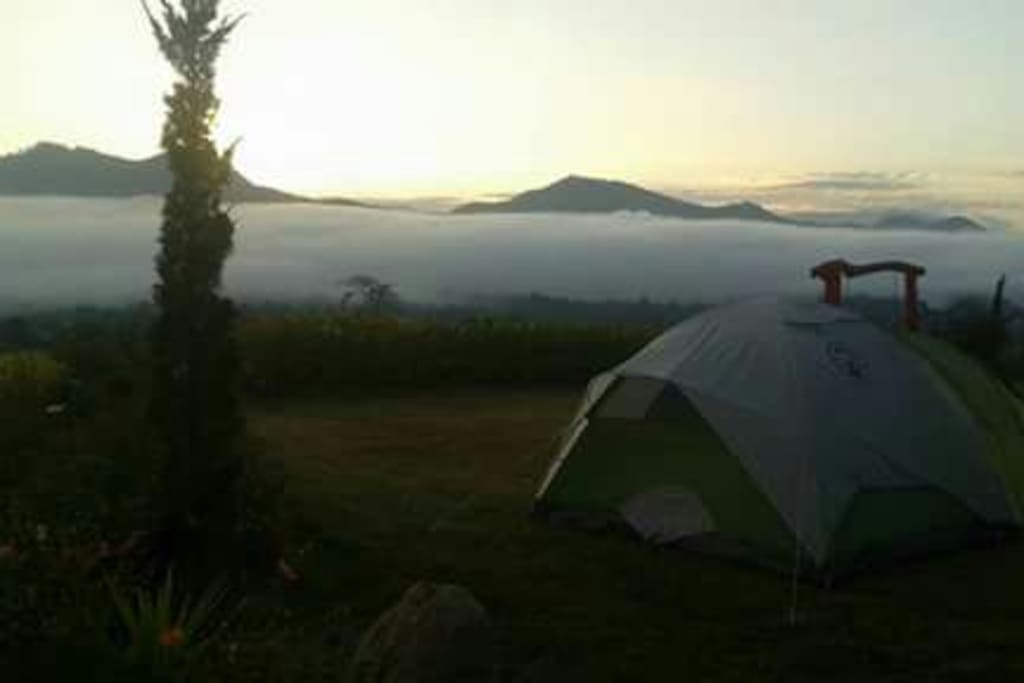 Camping Service