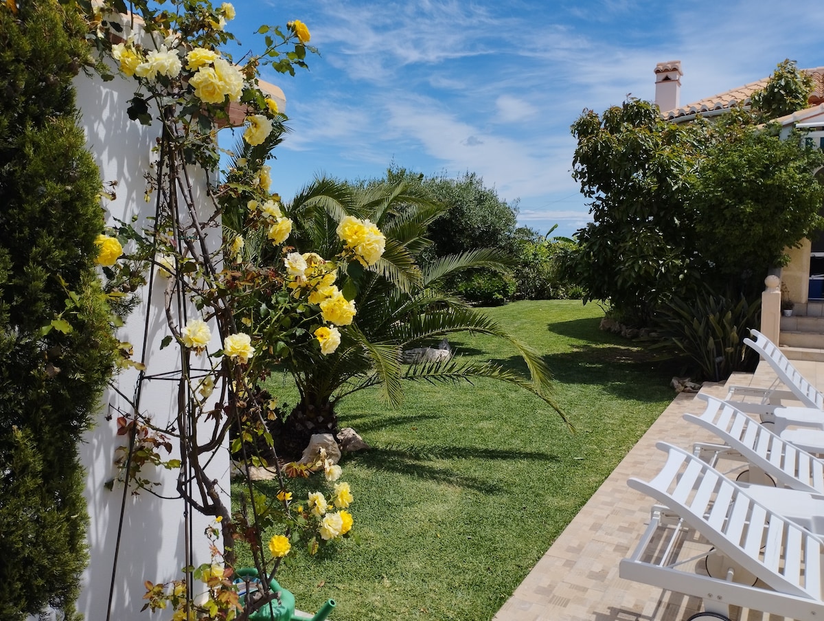 A vibrant garden is shown with yellow roses climbing a wall and lush greenery surrounding a lawn. Sun loungers line a stone pathway leading to a serene outdoor space, under a clear blue sky with soft clouds.