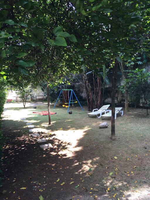 The garden