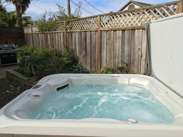 Lower Westside Sanctuary by Natural Bridges Beach gallery image 4