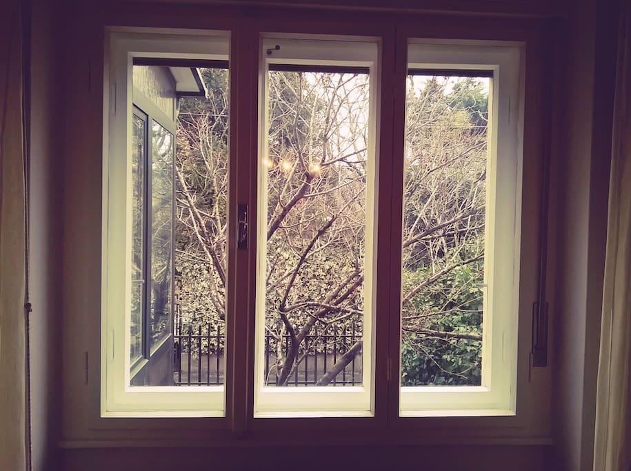 View out of the window