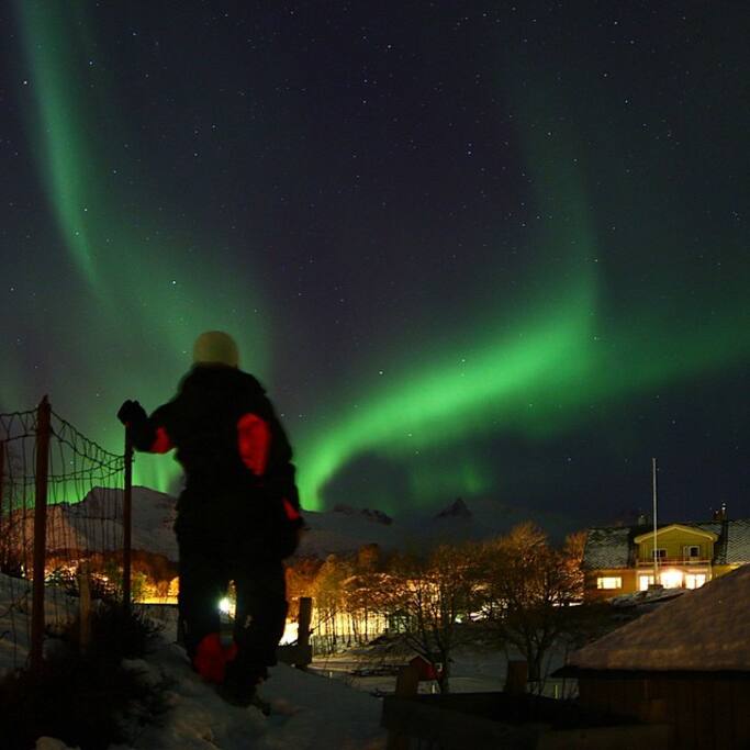 Aurora Borealis, photo taken in our garden in January.