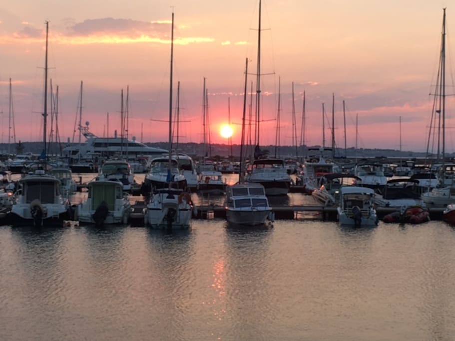 Marina