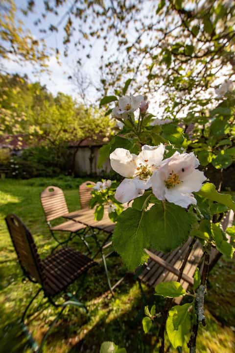 For well-being: Vacation home Zum Kirschgarten