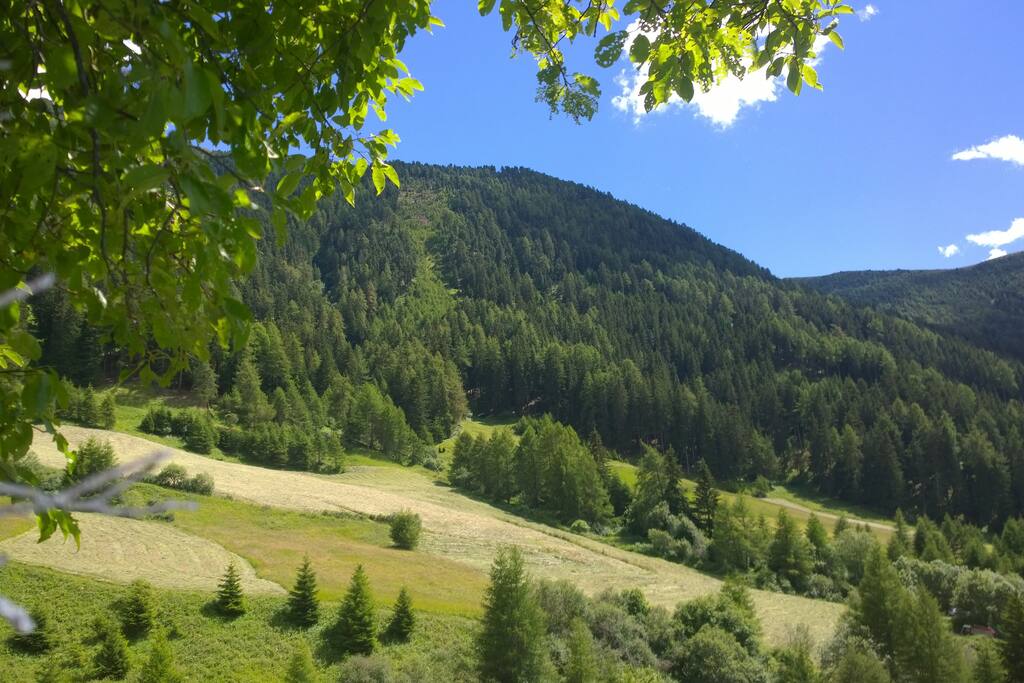 Wunderschönes Planailtal