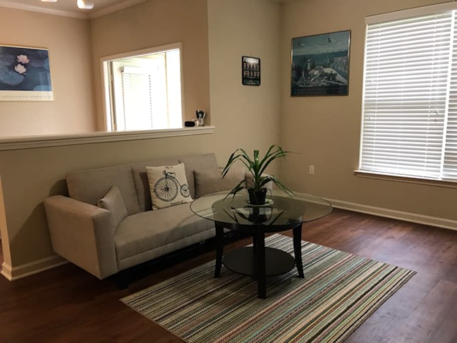 Living Room with futon