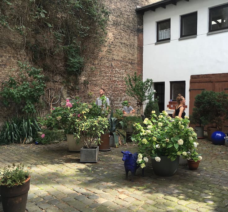 the courtyard and the entry to the studio