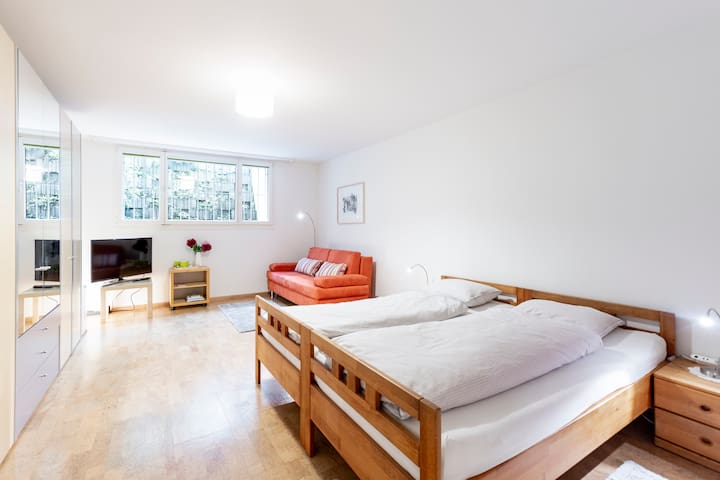 Spacious studio w/priv. bath incl. Mobility Ticket