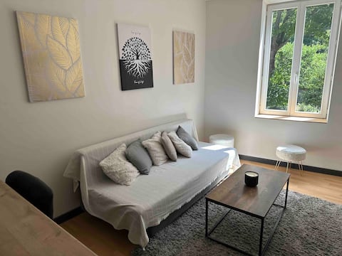 Le Nid Douillet 35m2 - near Lille