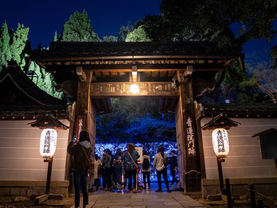 京都 青莲院夜樱 不动明王的炎之光 爱彼迎故事airbnb Com