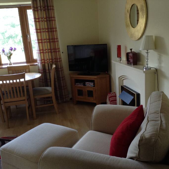 Picture of the very comfortable armchair with footstool.