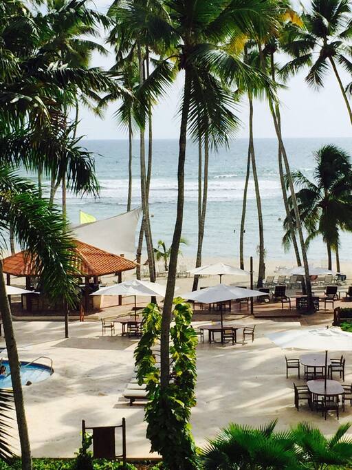 Balcony View