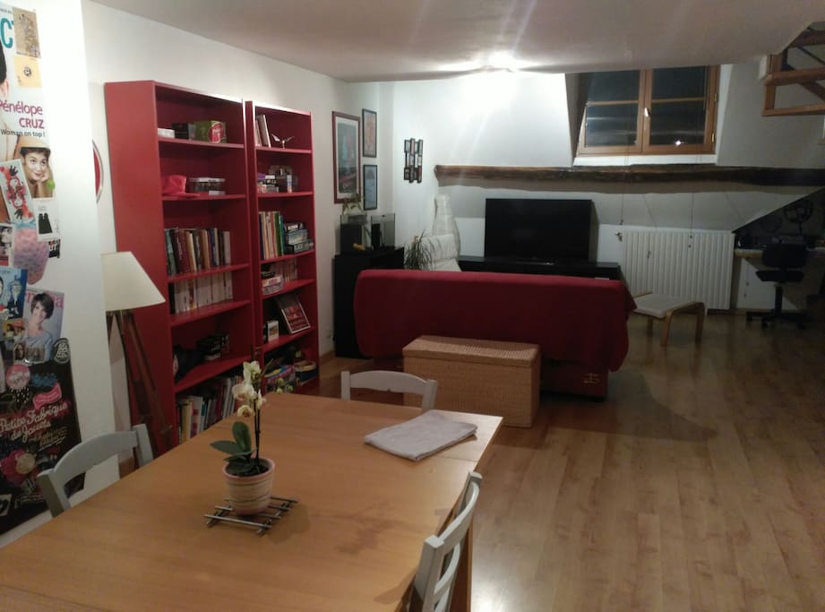 Salon/salle à manger