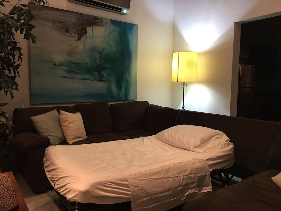 Twin size sofa bed