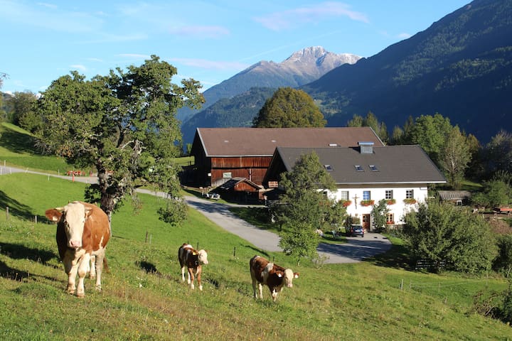 Kraßhof - Farm Stay in Eastern Tyrol