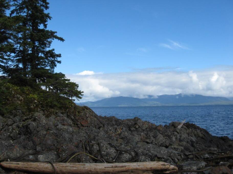 coffman cove chat sites Search hundreds of airlines for the cheapest tickets to coffman cove, alaska jun20 applies to all domestic travel chat now customer review:. coffman cove chat sites Search hundreds of airlines for the cheapest tickets to coffman cove, alaska jun20 applies to all domestic travel chat now customer review:.