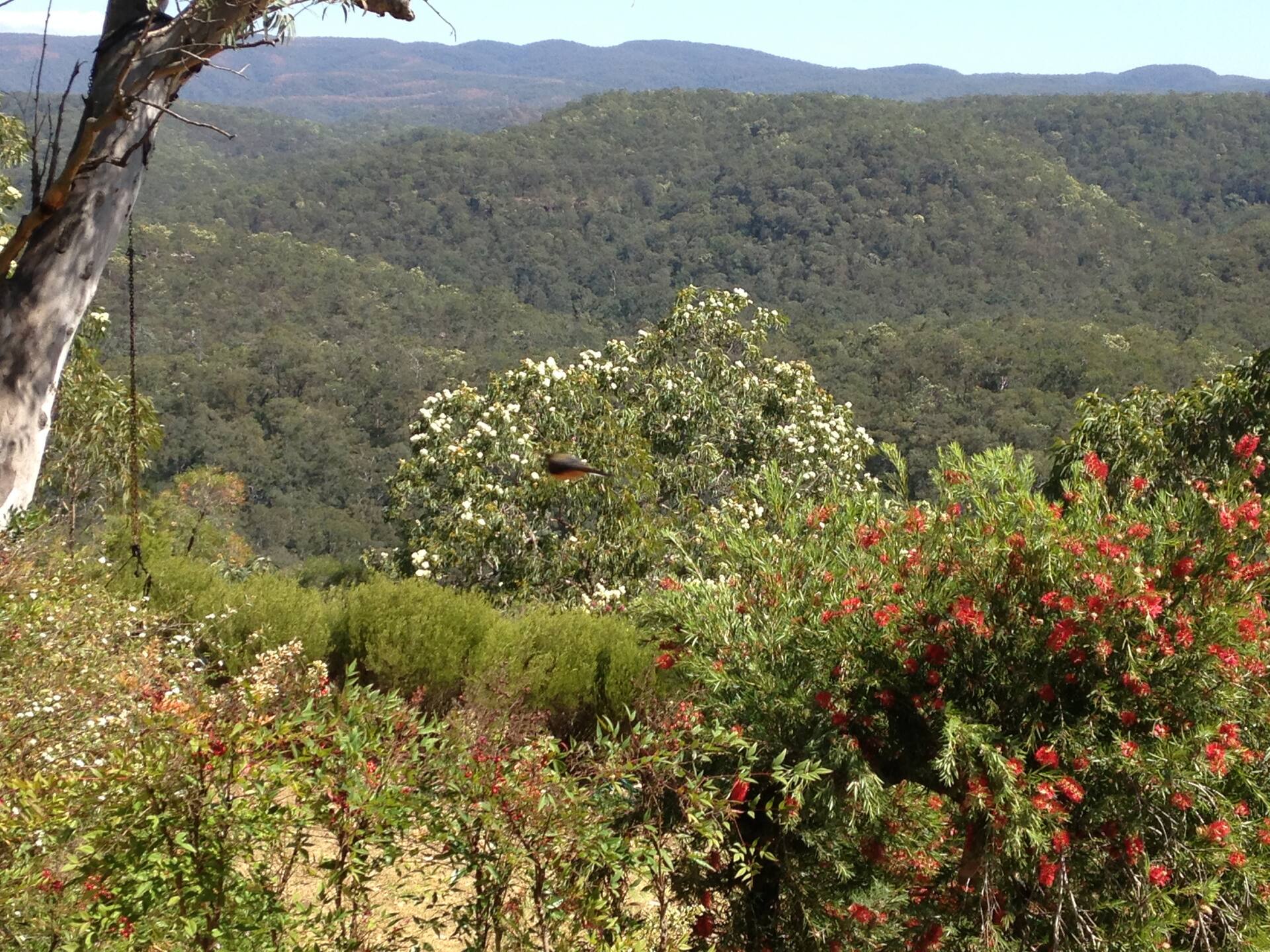 Kurrajong Trails and Cottages — foto 4