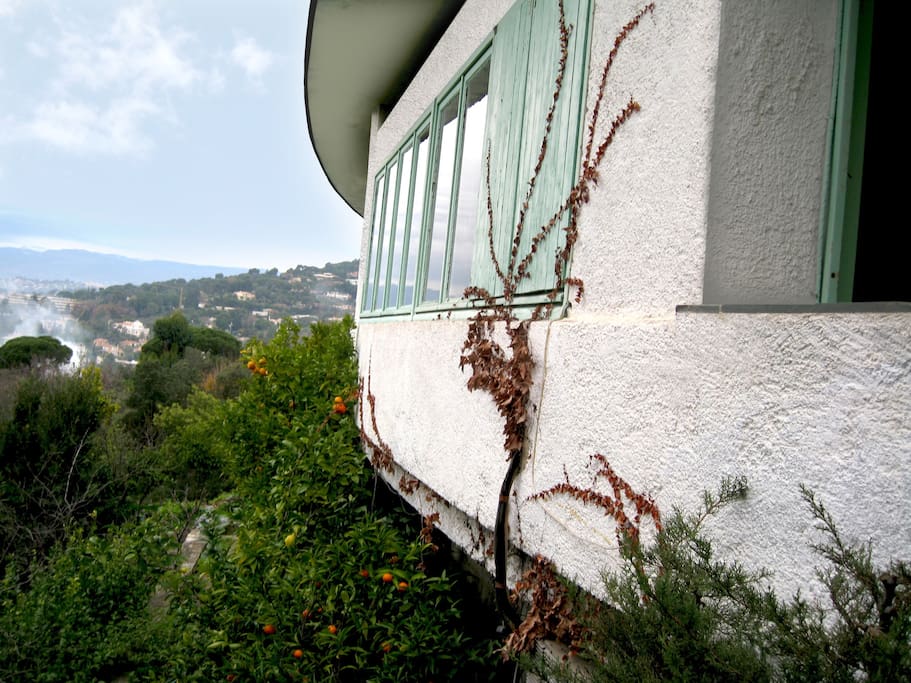 House facade facing Cannes