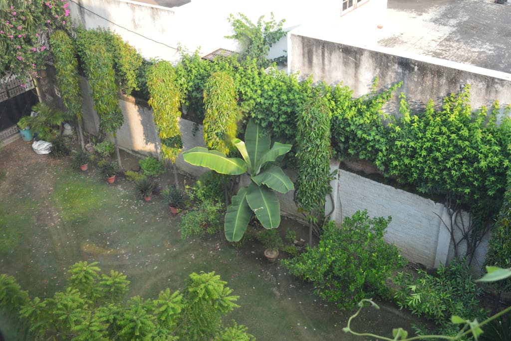 Adjacent Garden