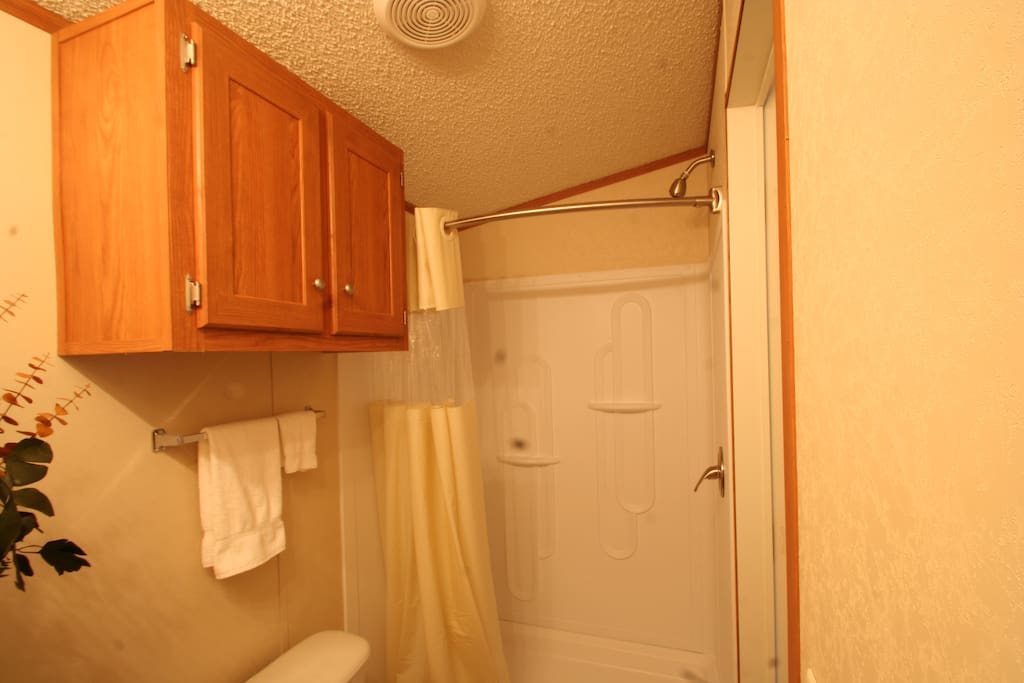 Large walk-in shower