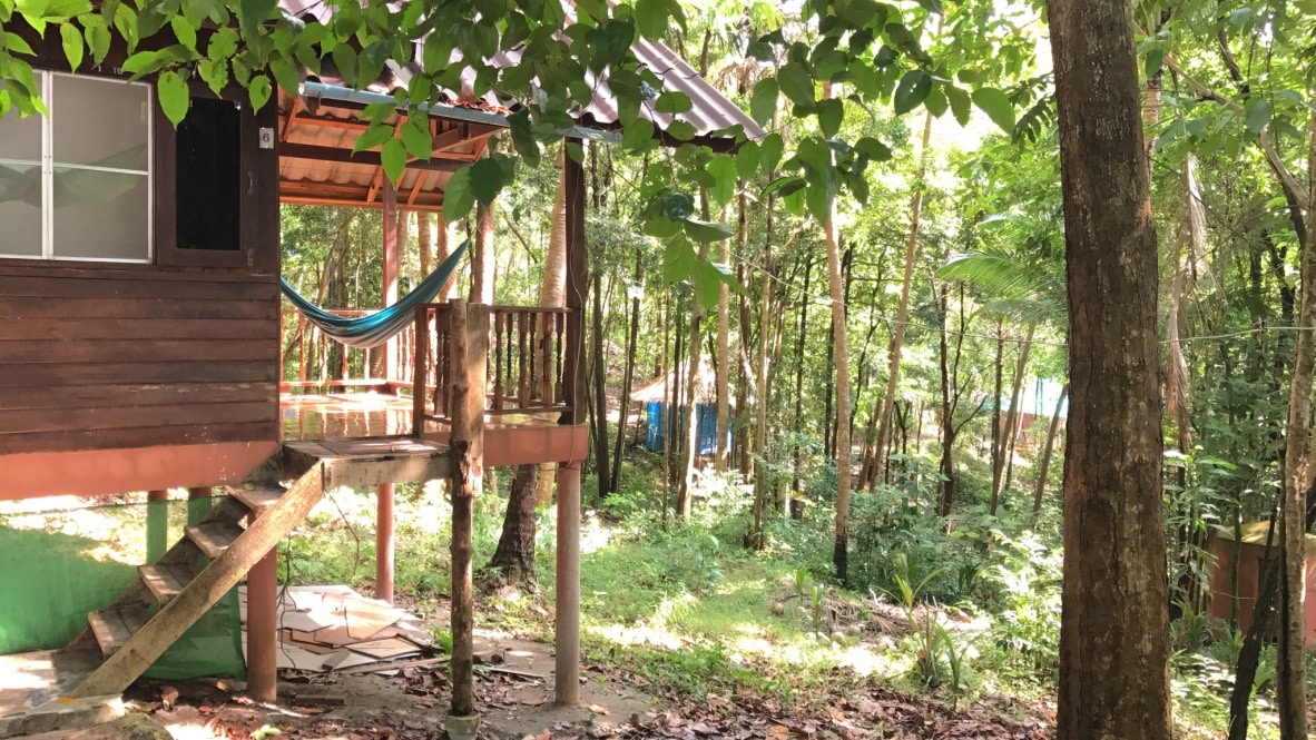 A bungalow is nestled among lush greenery, featuring a wooden deck with a hammock. Surrounding trees provide a natural canopy, and the structure is accessible via a set of wooden steps. Sunlight filters through the leaves, creating a serene atmosphere.