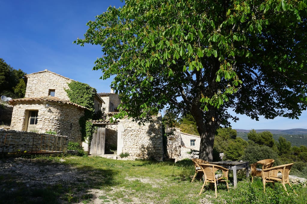 Les Lavandes
Sous la fraîcheur du Marronnier