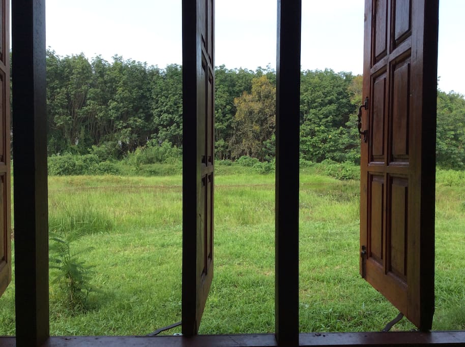 view from your room in the wooden chalet
